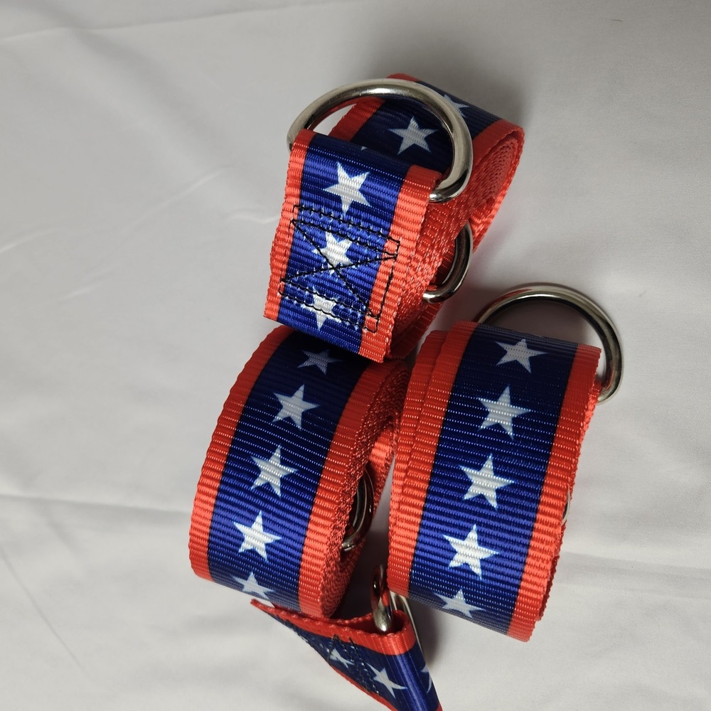 2' x 10" Nylon Webbing Strap with D Rings - Patriotic 3 Included